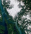 Satellite image shows all of Juneau