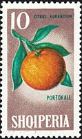 1965 Albanian postage stamp