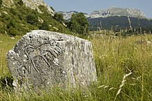 Όρθια ταφόπλακα με χαράγματα στο μέσο χέρσας έκτασης