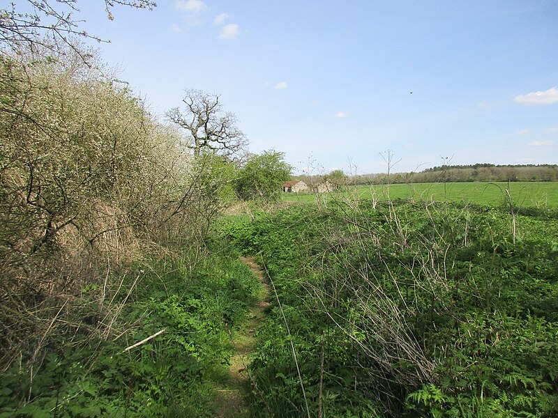 File:Westbury Circular Ride near Castle Farm - geograph.org.uk - 5366724.jpg