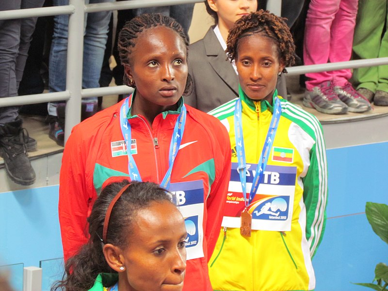 File:2012 IAAF World Indoor by Mardetanha3268.JPG