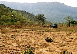 Bibala landscape