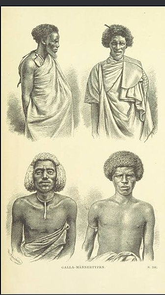 File:Galla men in Harar during Egyptian Era.jpeg