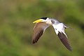 In the Pantanal, Brazil