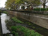 祖師谷公園付近。上流側に宮下橋（世田谷区上祖師谷）