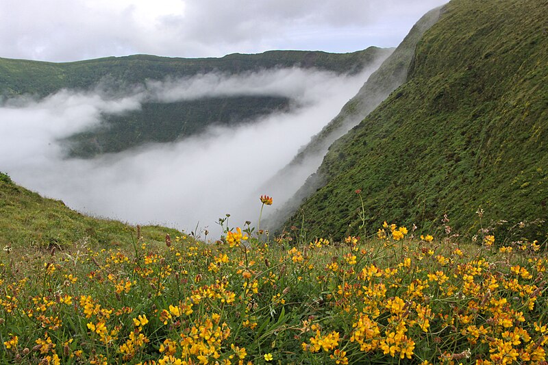 File:Açores 2010-07-23 (5158735119).jpg