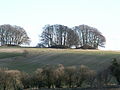 Túmuls a prop d'Avebury, Anglaterra.