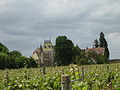 Aloxe-Corton Le château André et les vignes