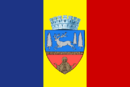 Drapeau de Bacău