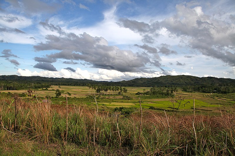 File:Bohol - panoramio.jpg