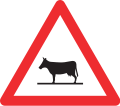 1.25 Animals on road (e.g. cattle)