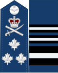 Dress uniform tunic - shoulder and sleeve