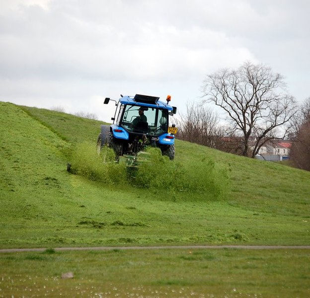 File:Grass cutting - geograph.org.uk - 759798.jpg