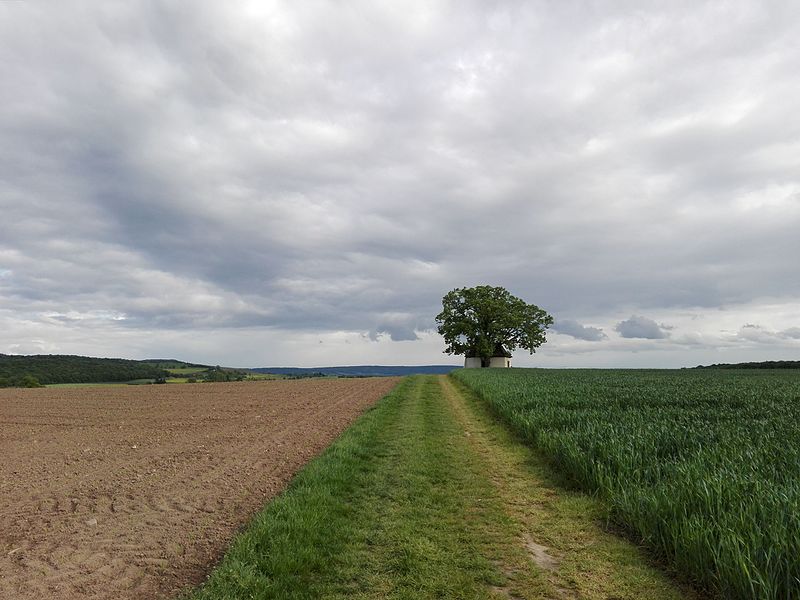 File:Grenzenloses Feld.jpg