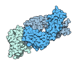 Image illustrative de l’article Ipilimumab