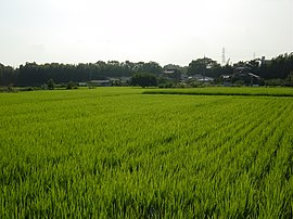 神屋町の田園風景。付近には内津川と愛知用水が流れる。