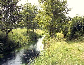 The river Lys