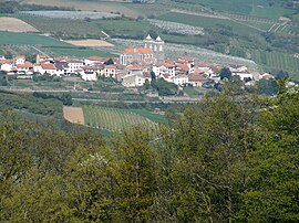 The village of Saint-Didier-sous-Riverie in the middle of orchards.