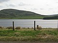 Whiteadder Reservoir