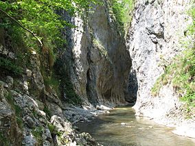 Imagine din Cheile Râmețului (Foto: Alin Ciprian Ciula, 2008)