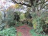 Ashley Lane in autumn