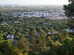 Casarano – Veduta