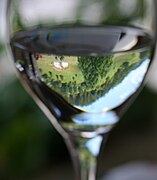 Verre de chablis, à l'éclat cristallin.