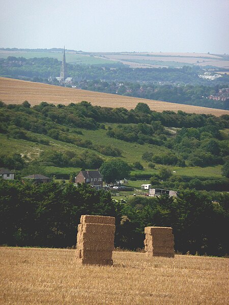 File:Farmland south west of Figsbury Ring - geograph.org.uk - 5387575.jpg