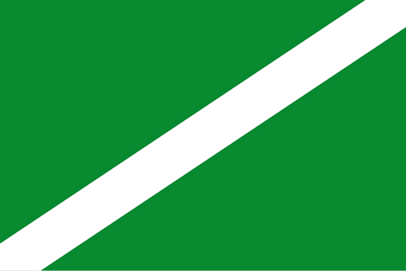 File:Flag of La Guancha.svg