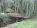 A Footbridge over a small stream in Woking Park