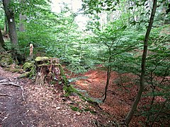 Hardenbergischer Alaunsteinbruch „Alaunloch“ 02.jpg