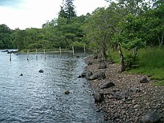 Shore of Loch Awe - geograph.org.uk - 207217.jpg