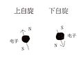 自旋状态2种