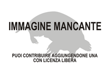 Immagine di Sorex cansulus mancante