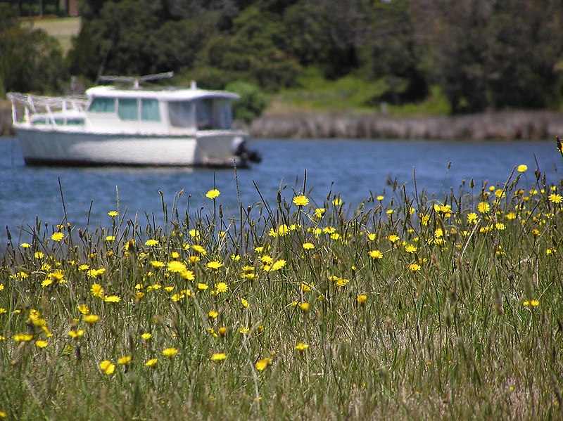 File:Boat Mooring Newlands Arm - panoramio.jpg