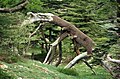 'Cedars of God', Lebanon