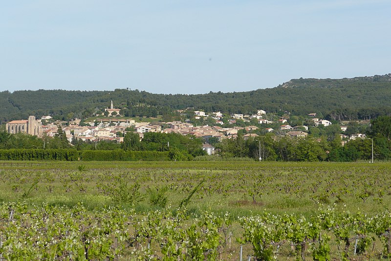 File:Vue sur Laudun-l'Ardoise.JPG