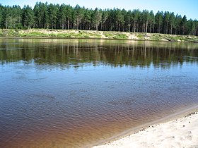 Wiks va Vetluga kuksa