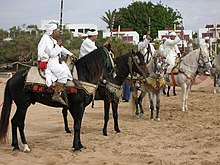 Groupe de cavaliers montés sur des chevaux noirs et gris, vus de profil.