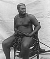 Cetshwayo kaMpande, Zulu king during the Anglo-Zulu Wars.  Done — file history states that Scott Martin "Removed dust and scratches." as of 06:43, 23 July 2009. I didn't notice any other artifacts. --Kevjonesin (talk) 15 May 2013 (UTC)