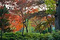 30 mai 2014 Jardin Attardez-vous (en)