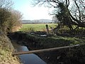 Pont fet amb un tauló