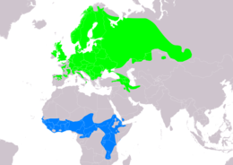 Elterjedési területe   költőhely (nyáron)   telelőhely Összeállította: BirdLife International and Handbook of the Birds of the World (2016) 2016.