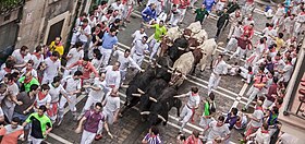 Encierro de San Fermín