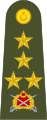 Orgeneral (Turkish Land Forces)