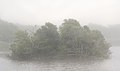 Image 94An island (with ospreys) in Trustom Pond in the fog