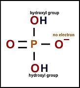 Dihydrogen phosphate.jpg