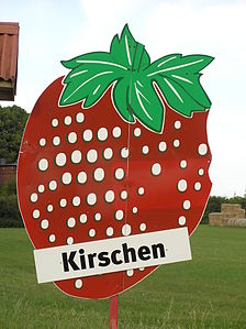 Lauenburger Kirschen