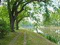 Kanal im Stadtpark von Bydgoszcz