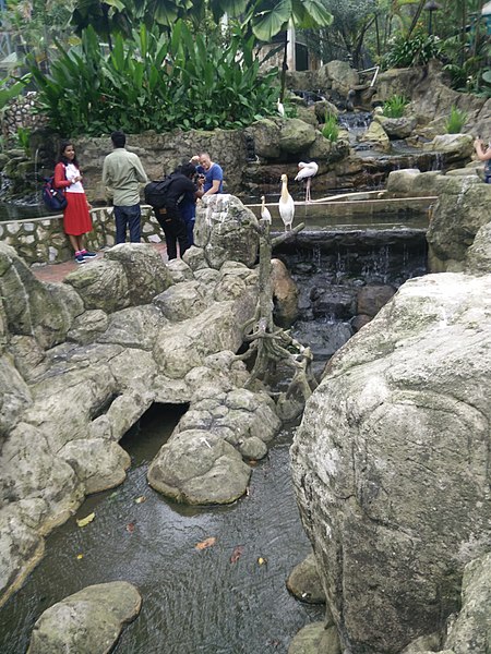 File:People people people Bird Park KL.jpg